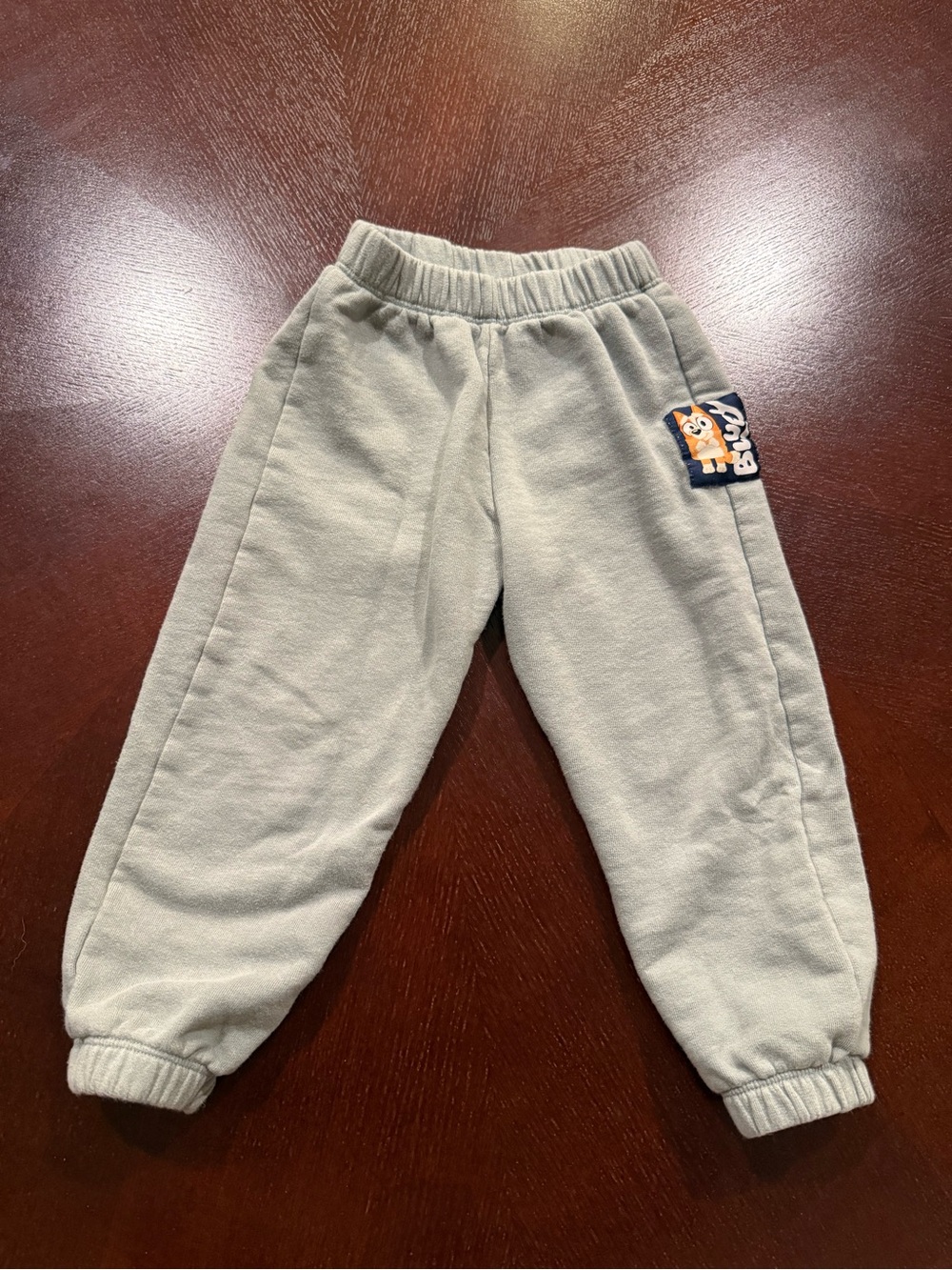 Zara Kids Bluey Sage Fleece Jogger Pants